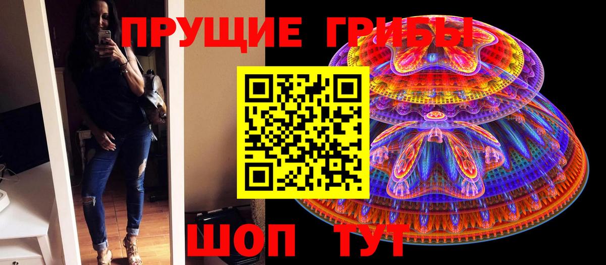 Псилоцибиновые грибы мухоморы Чистополь