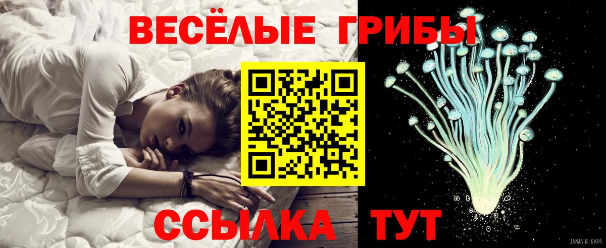 Псилоцибиновые грибы MAGIC MUSHROOMS  Вход с VPN  Чистополь 